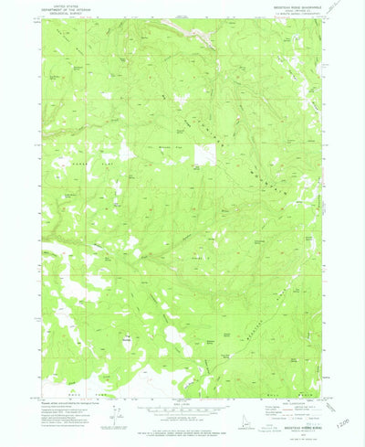 United States Geological Survey Bedstead Ridge, ID (1973, 24000-Scale) digital map