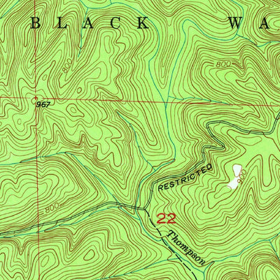 United States Geological Survey Bee Branch, AL (1960, 24000-Scale) digital map