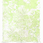 United States Geological Survey Bee Cave Hollow, TX (1971, 24000-Scale) digital map