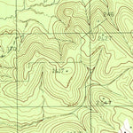 United States Geological Survey Beech Grove, TX (1984, 24000-Scale) digital map