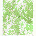 United States Geological Survey Beechgrove, TN (1953, 24000-Scale) digital map