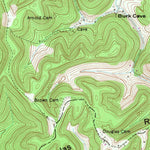 United States Geological Survey Beechgrove, TN (1953, 24000-Scale) digital map