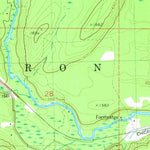 United States Geological Survey Beechwood, MI (1981, 24000-Scale) digital map