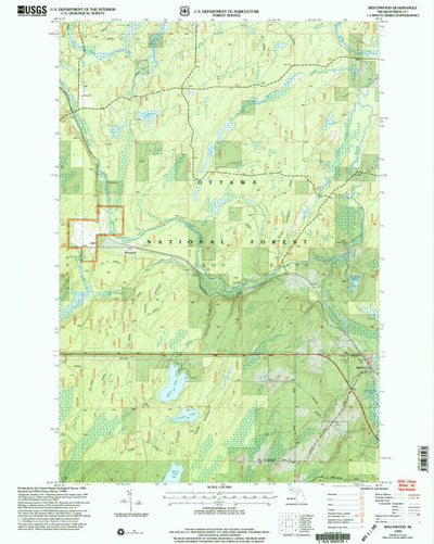 United States Geological Survey Beechwood, MI (1999, 24000-Scale) digital map