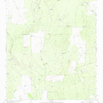 United States Geological Survey Beef Hollow Creek, TX (1972, 24000-Scale) digital map