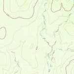 United States Geological Survey Beef Hollow Creek, TX (1972, 24000-Scale) digital map
