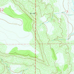 United States Geological Survey Beenham SW, NM (1977, 24000-Scale) digital map