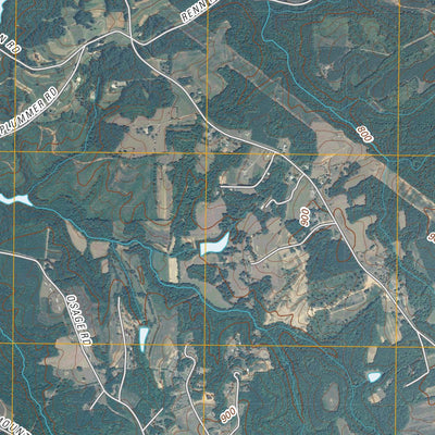 United States Geological Survey Belews Lake, NC (2010, 24000-Scale) digital map