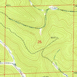 United States Geological Survey Bell Canyon, NM (1974, 24000-Scale) digital map