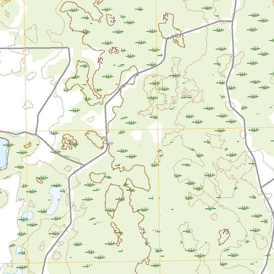 United States Geological Survey Bell, FL (2021, 24000-Scale) digital map