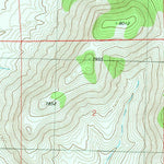 United States Geological Survey Bell Peak, NM (1981, 24000-Scale) digital map