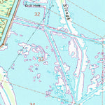 United States Geological Survey Belle Chasse, LA (1966, 24000-Scale) digital map