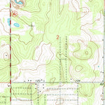 United States Geological Survey Belleview, FL (1967, 24000-Scale) digital map