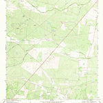 United States Geological Survey Benavides NE, TX (1968, 24000-Scale) digital map