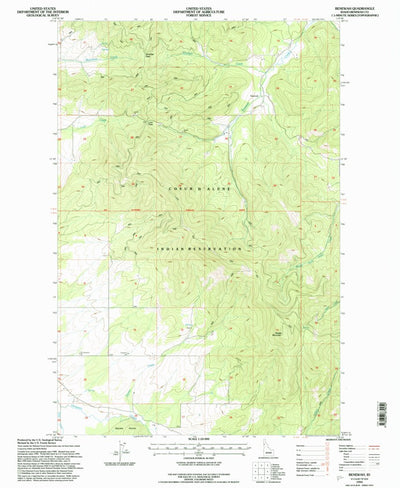 United States Geological Survey Benewah, ID (1994, 24000-Scale) digital map