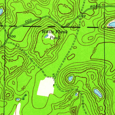 United States Geological Survey Bennett, FL (1945, 24000-Scale) digital map