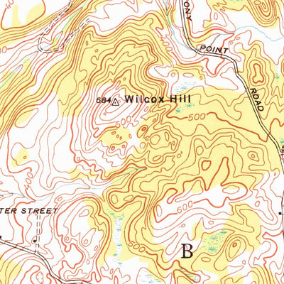 United States Geological Survey Benson, VT-NY (1946, 24000-Scale) digital map