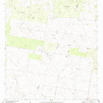 United States Geological Survey Bentsen Ranch, TX (1972, 24000-Scale) digital map