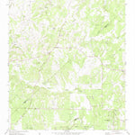 United States Geological Survey Bergheim, TX (1964, 24000-Scale) digital map