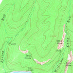 United States Geological Survey Bergoo, WV (1966, 24000-Scale) digital map