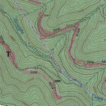 United States Geological Survey Bergoo, WV (1995, 24000-Scale) digital map