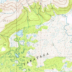 United States Geological Survey Bering Glacier A-4, AK (1959, 63360-Scale) digital map