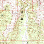 United States Geological Survey Bering Glacier B-8, AK (1985, 63360-Scale) digital map