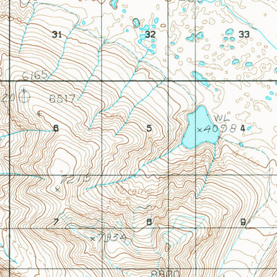 United States Geological Survey Bering Glacier D-1, AK (1984, 63360-Scale) digital map