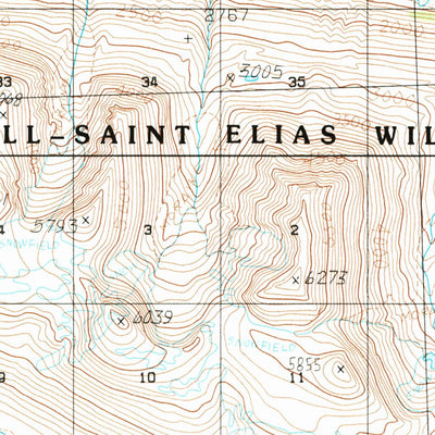 United States Geological Survey Bering Glacier D-6, AK (1984, 63360-Scale) digital map