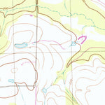 United States Geological Survey Berlin West, GA (1978, 24000-Scale) digital map