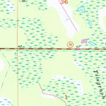 United States Geological Survey Bermont, FL (1956, 24000-Scale) digital map