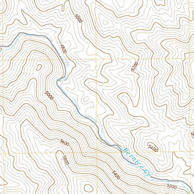 United States Geological Survey Bernice Canyon, NV (2021, 24000-Scale) digital map
