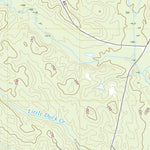 United States Geological Survey Bethel, AL (2020, 24000-Scale) digital map