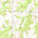 United States Geological Survey Bethel, MO (1964, 24000-Scale) digital map