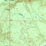 United States Geological Survey Betsy Lake SW, MI (1968, 24000-Scale) digital map