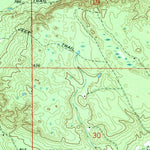 United States Geological Survey Betsy Lake SW, MI (1968, 24000-Scale) digital map