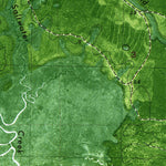 United States Geological Survey Beverly, FL (1981, 24000-Scale) digital map