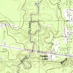 United States Geological Survey Bevil Oaks, TX (1984, 24000-Scale) digital map