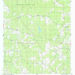 United States Geological Survey Bewelcome, MS (1988, 24000-Scale) digital map