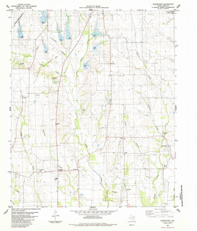United States Geological Survey Biardstown, TX (1984, 24000-Scale) digital map