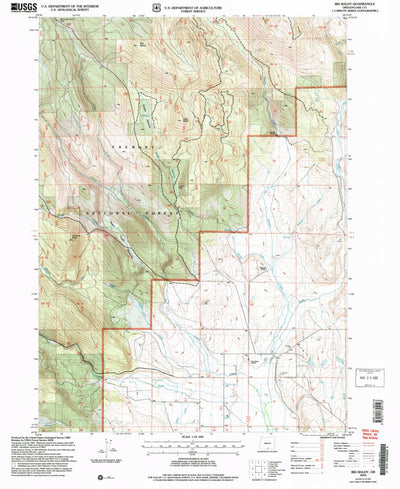 United States Geological Survey Big Baldy, OR (2004, 24000-Scale) digital map