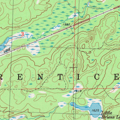 United States Geological Survey Big Briens Lake, WI (1979, 24000-Scale) digital map