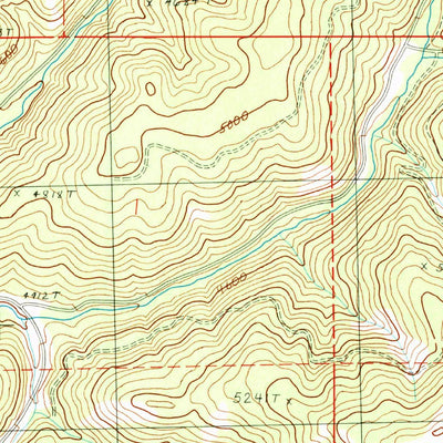 United States Geological Survey Big Canyon, OR (1990, 24000-Scale) digital map