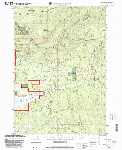 United States Geological Survey Big Canyon, OR (1998, 24000-Scale) digital map
