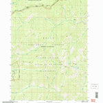 United States Geological Survey Big Chief Creek, ID (2004, 24000-Scale) digital map