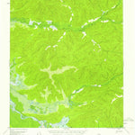 United States Geological Survey Big Delta A-2, AK (1954, 63360-Scale) digital map
