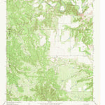 United States Geological Survey Big Four Ranch, TX (1966, 24000-Scale) digital map