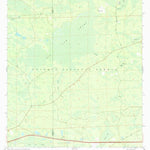 United States Geological Survey Big Gum Swamp, FL (1969, 24000-Scale) digital map