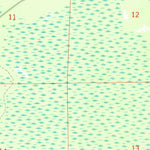 United States Geological Survey Big Gum Swamp, FL (1969, 24000-Scale) digital map