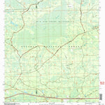 United States Geological Survey Big Gum Swamp, FL (2005, 24000-Scale) digital map